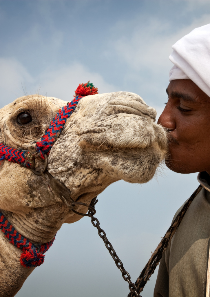 Bedouin Safari