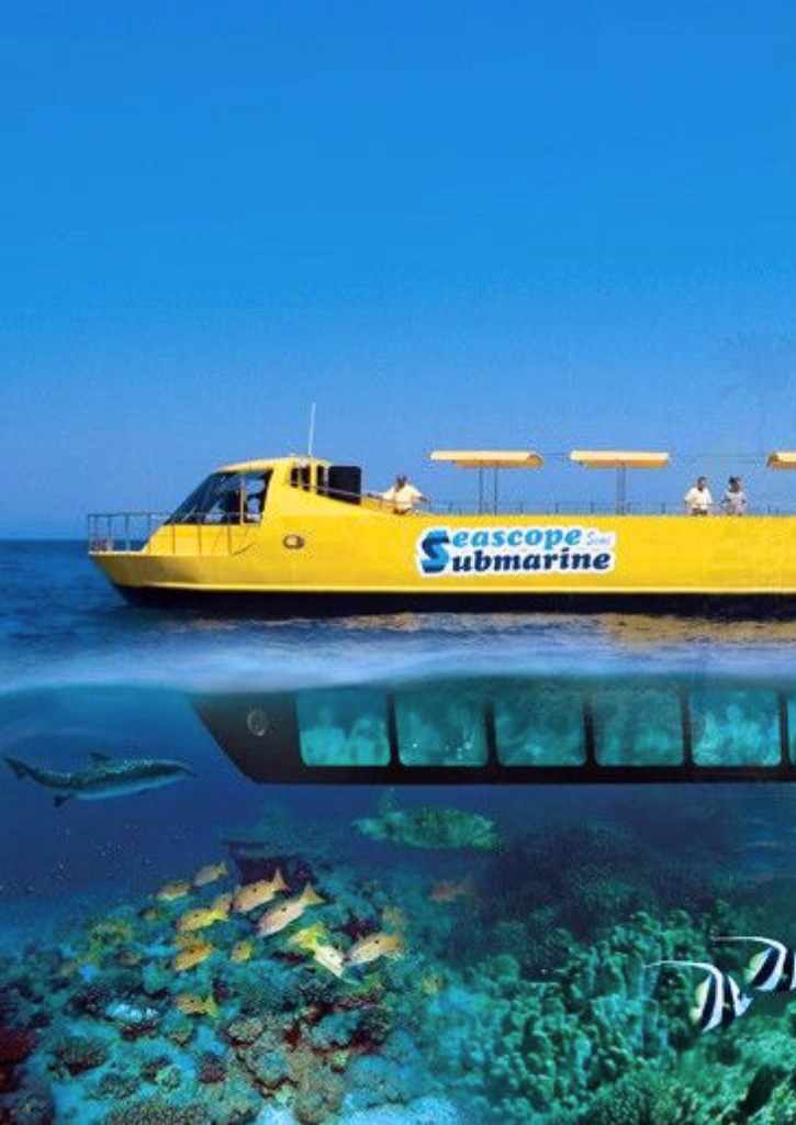 Semi-Submarine Excursion